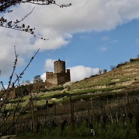 Les écrins - With Jacuzzi 3*