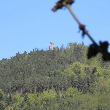 Les Ecrins - With Jacuzzi 3* Orbey