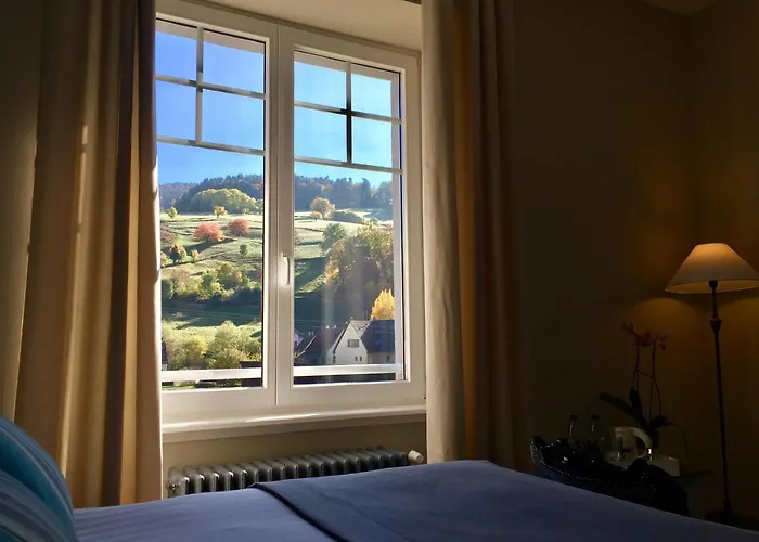 Les Ecrins - With Jacuzzi Gasthuis Orbey