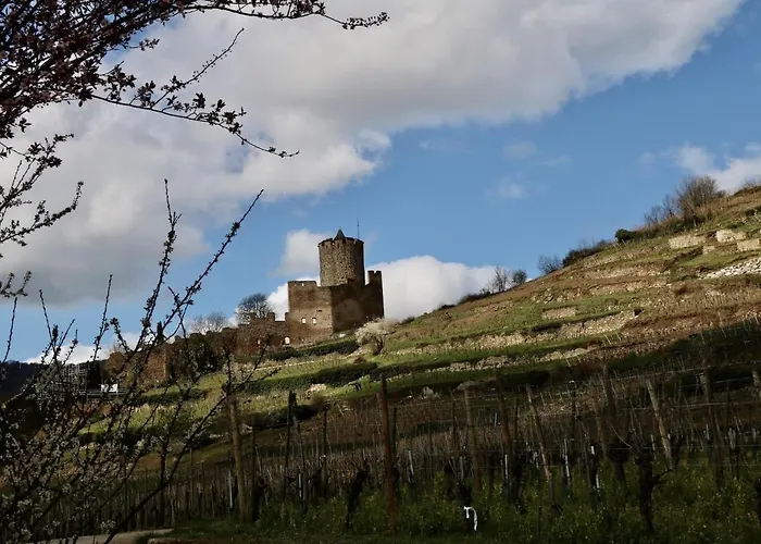 Les Ecrins - With Jacuzzi 3*