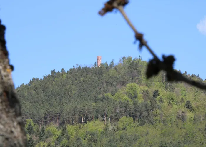 Les Ecrins - With Jacuzzi 3* Orbey
